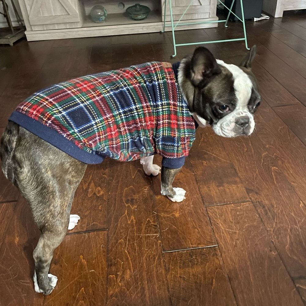 🐾🐾🐾3 for 12$🐾🐾🐾Eddie Bauer Tartan Dog Flannel Bodysuit - Red, Green, Navy
